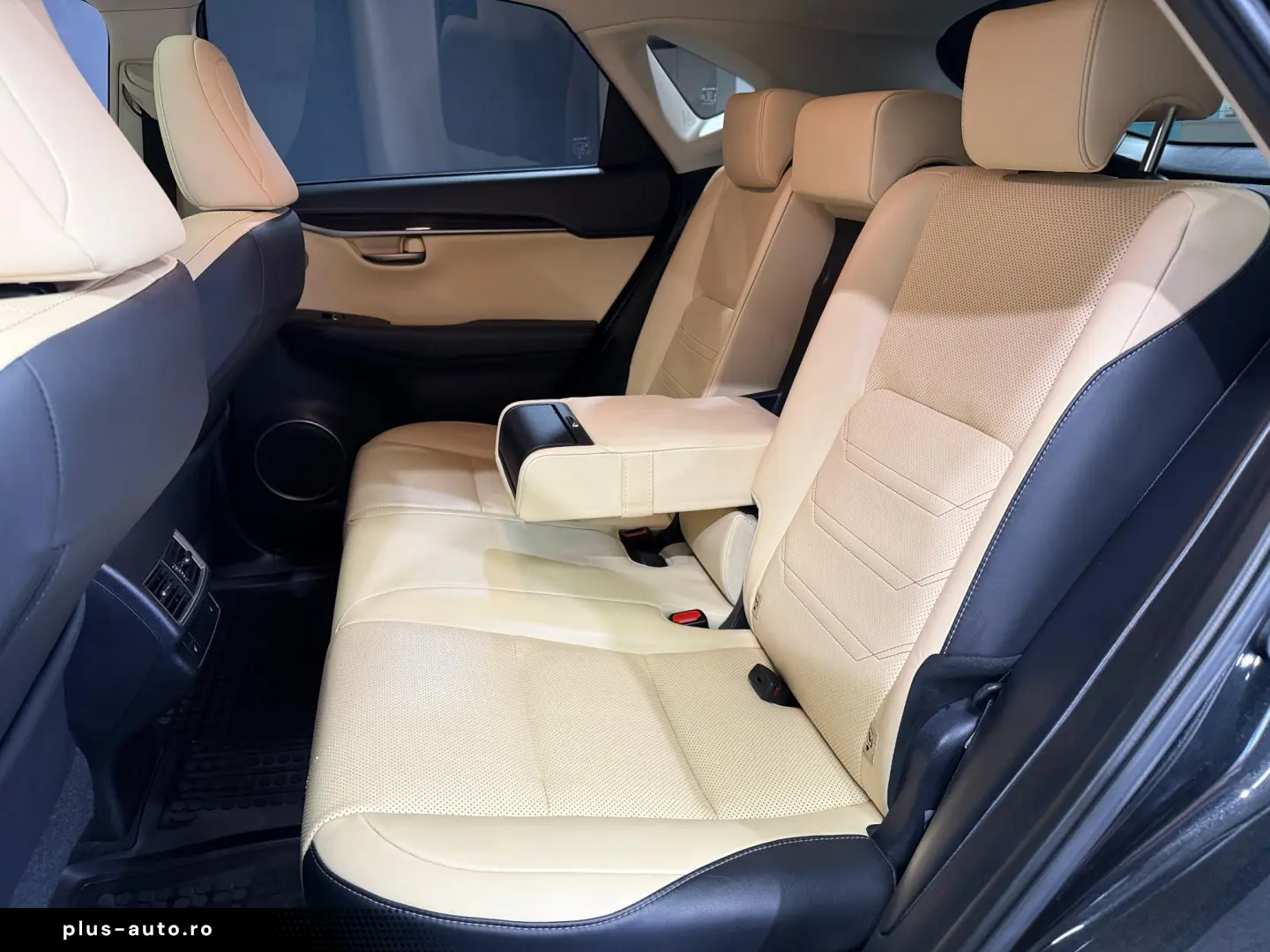 Lexus NX 300H