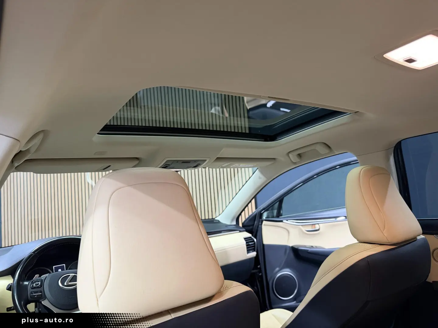 Lexus NX 300H
