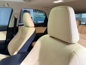 Lexus NX 300H