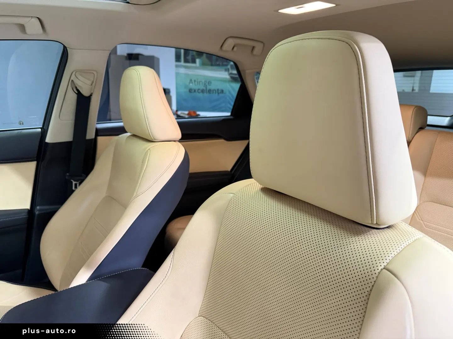 Lexus NX 300H