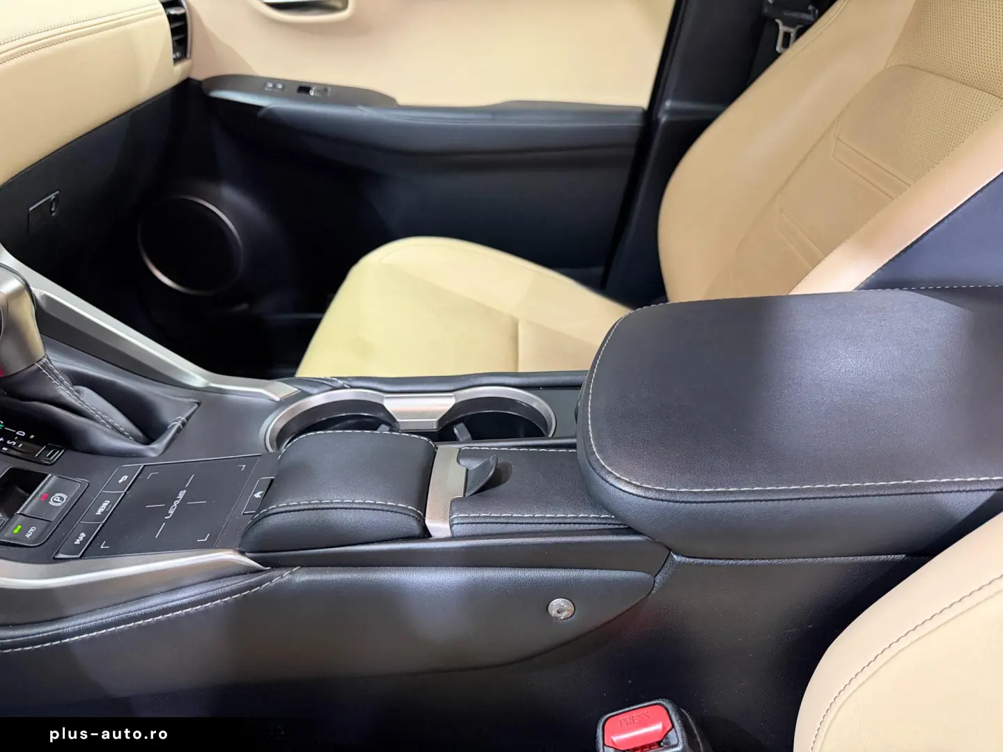 Lexus NX 300H