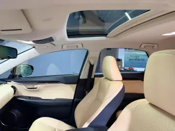 Lexus NX 300H