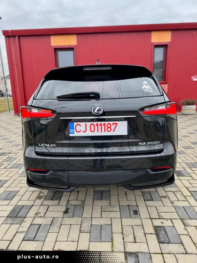Lexus Seria NX 300h E-FOUR Luxury Line