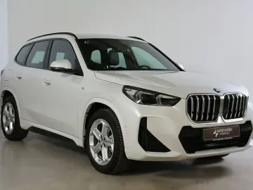 BMW X1 xDrive23i M Sport ACC H&K Kamera Widescreen