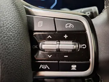 KIA Sorento 2.2D Platinum 4WDILEDIBOSE 360  ACCISHZ