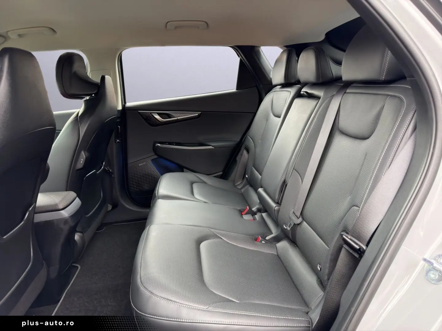 KIA EV6 Earth Elektro 84 kWh 2WD El. Heckklappe e-Si