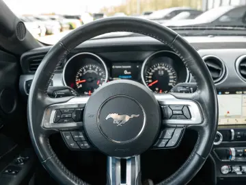 FORD Mustang GT 5 0 GT 500 SHELBY PREMIUM TOP