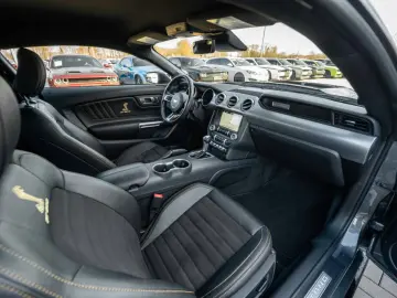 FORD Mustang GT 5 0 GT 500 SHELBY PREMIUM TOP