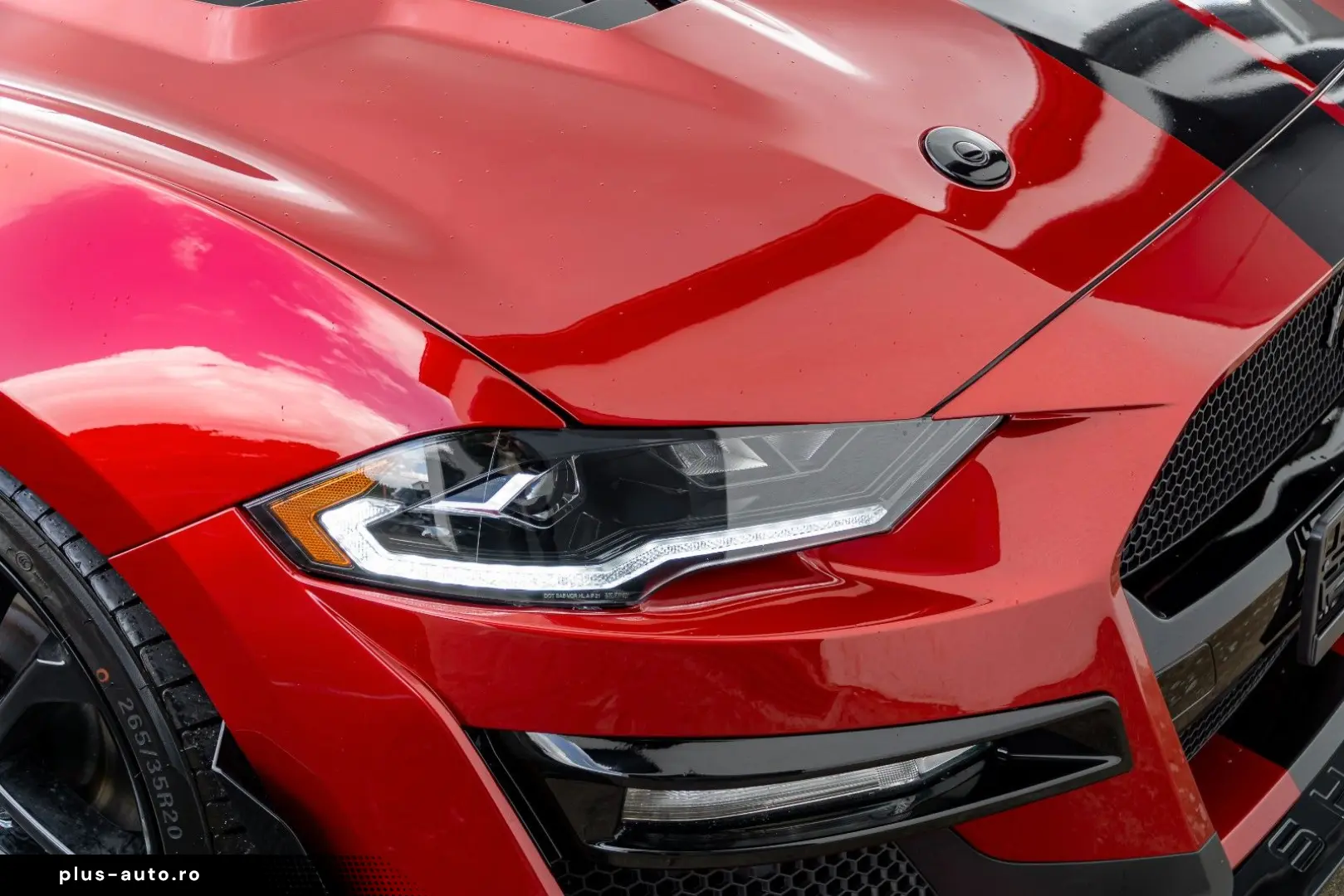 FORD Mustang GT - 5.0 V8 Recaro Tot Temp NAVI LED R20
