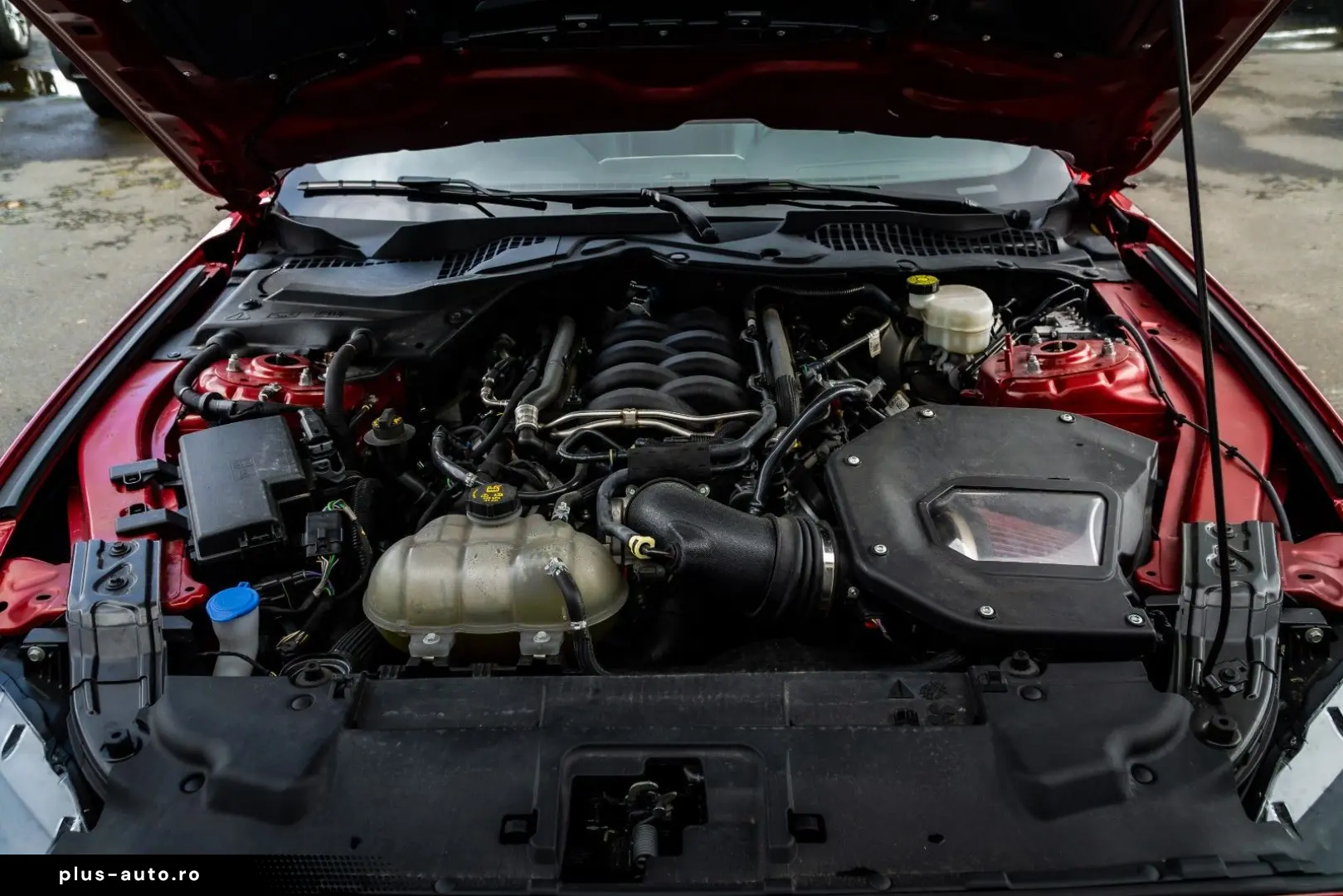 FORD Mustang GT - 5.0 V8 Recaro Tot Temp NAVI LED R20