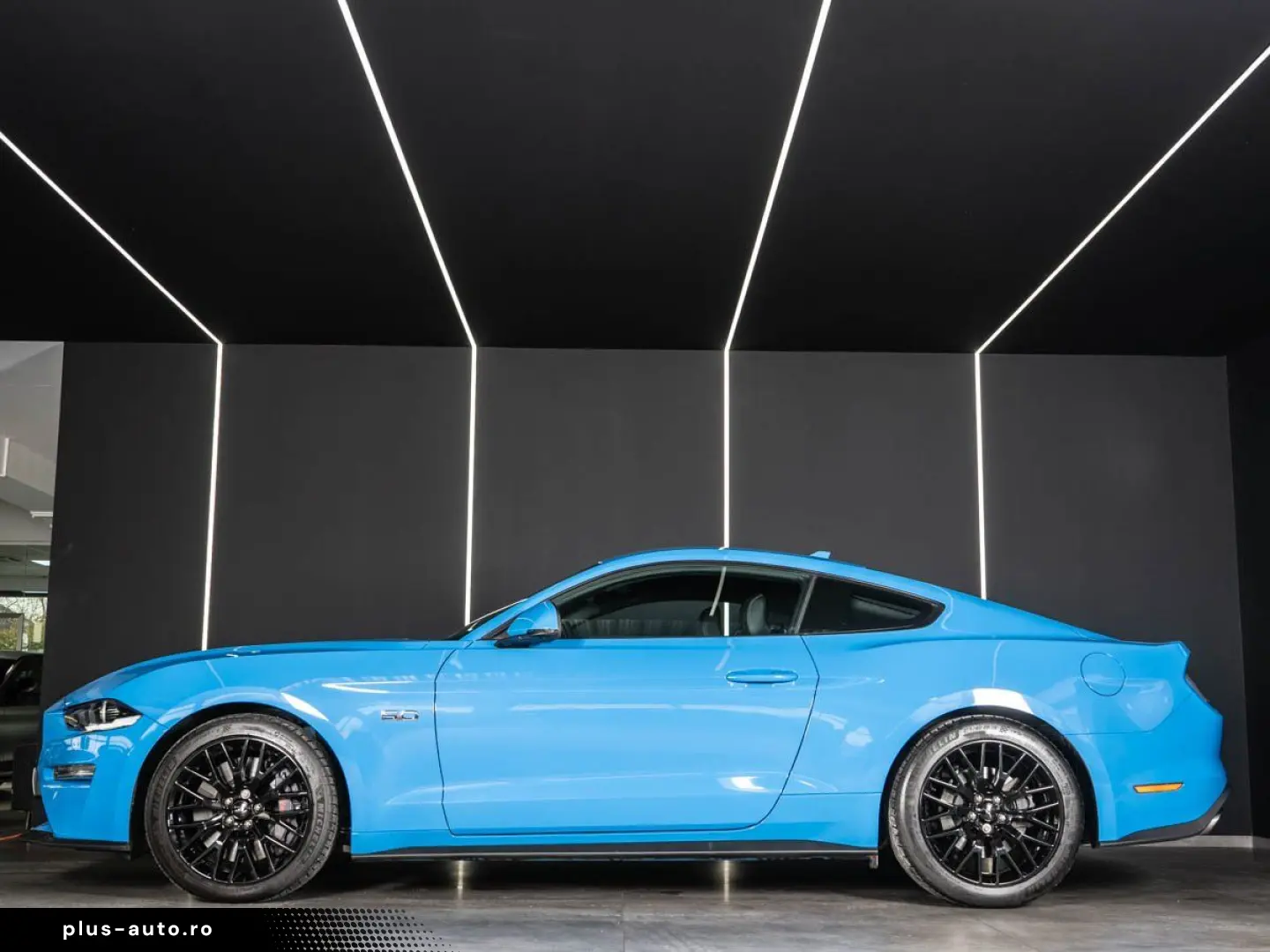 FORD Mustang GT 5.0 Ti-VCT V8 Fastback   PREMIUM2 SYN