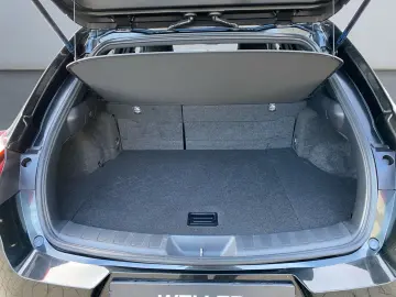 LEXUS UX 250h F SPORT Design  Bi-LED ACC RCam SHZ PDC