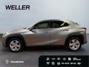 LEXUS UX 250h F SPORT Design  Bi-LED ACC RCam SHZ PDC