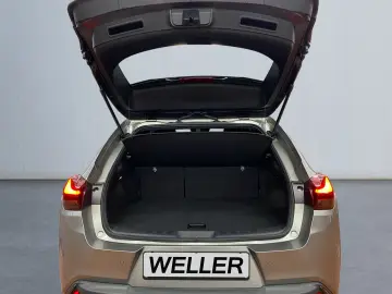 LEXUS UX 250h F SPORT Design  Bi-LED ACC RCam SHZ PDC