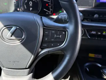 LEXUS UX 250h F-SPORT ACC RFK Car-Play LED 1-HAND