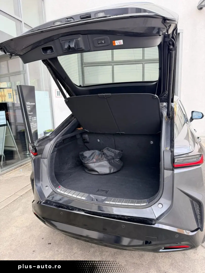 LEXUS RZ450e  DIRECT4 Luxury   All-Wetter-Reifen