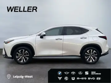 LEXUS NX 350h Business Line  LED 360