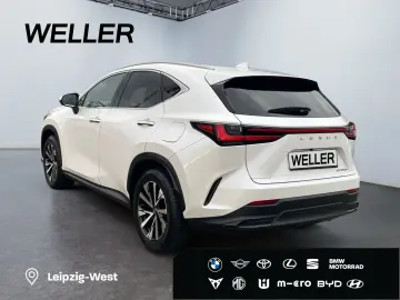 LEXUS NX 350h Business Line  LED 360