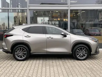 LEXUS NX 350h Executive Line  360  Kamera