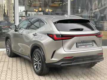 LEXUS NX 350h Executive Line  360  Kamera