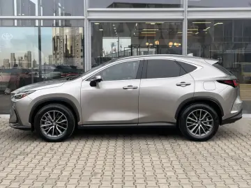 LEXUS NX 350h Executive Line  360  Kamera