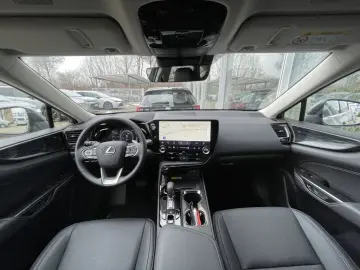 LEXUS NX 350h Executive Line  360  Kamera