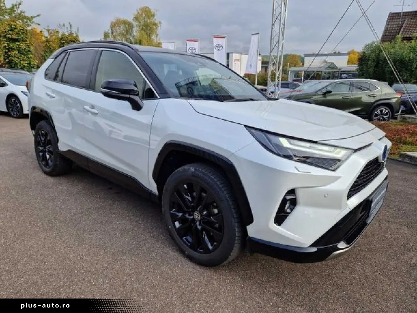 TOYOTA RAV 4 Hybrid 2.5 4x4 Style Selection Navi Sounds