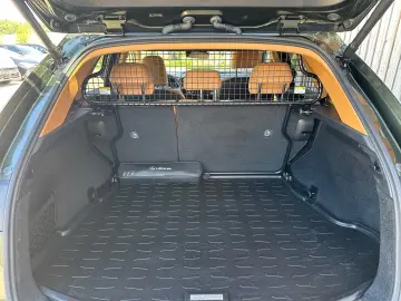 Lexus NX 450h  E-Four  Luxury package  Parking Assis Plus