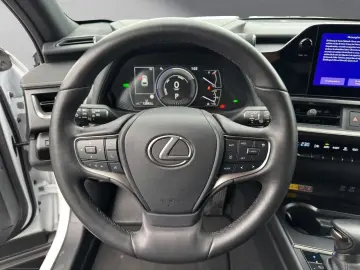 Lexus UX 250h F-SPORT-D.