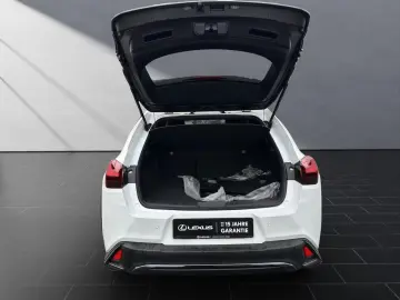 Lexus UX 250h F-SPORT-D.
