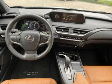 Lexus UX 300e  EXECUTIVE PAKET
