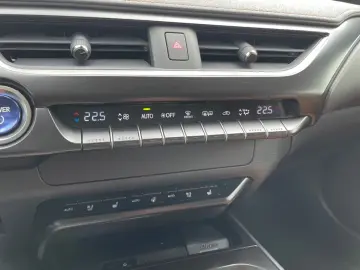 Lexus UX 300e  EXECUTIVE PAKET
