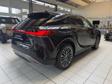 Lexus RX 450  - LUXURY-PANO.-MARK LEV-360 CAM