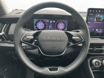 Skoda KODIAQ 2.0 TSI DSG 4x4 SELECTION   PANO   AHK