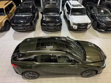 Lexus RX 450  - LUXURY-PANO.-MARK LEV-360 CAM