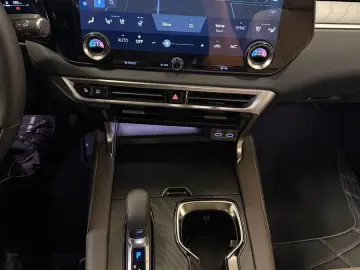 Lexus RX 450  - LUXURY-PANO.-MARK LEV-360 CAM