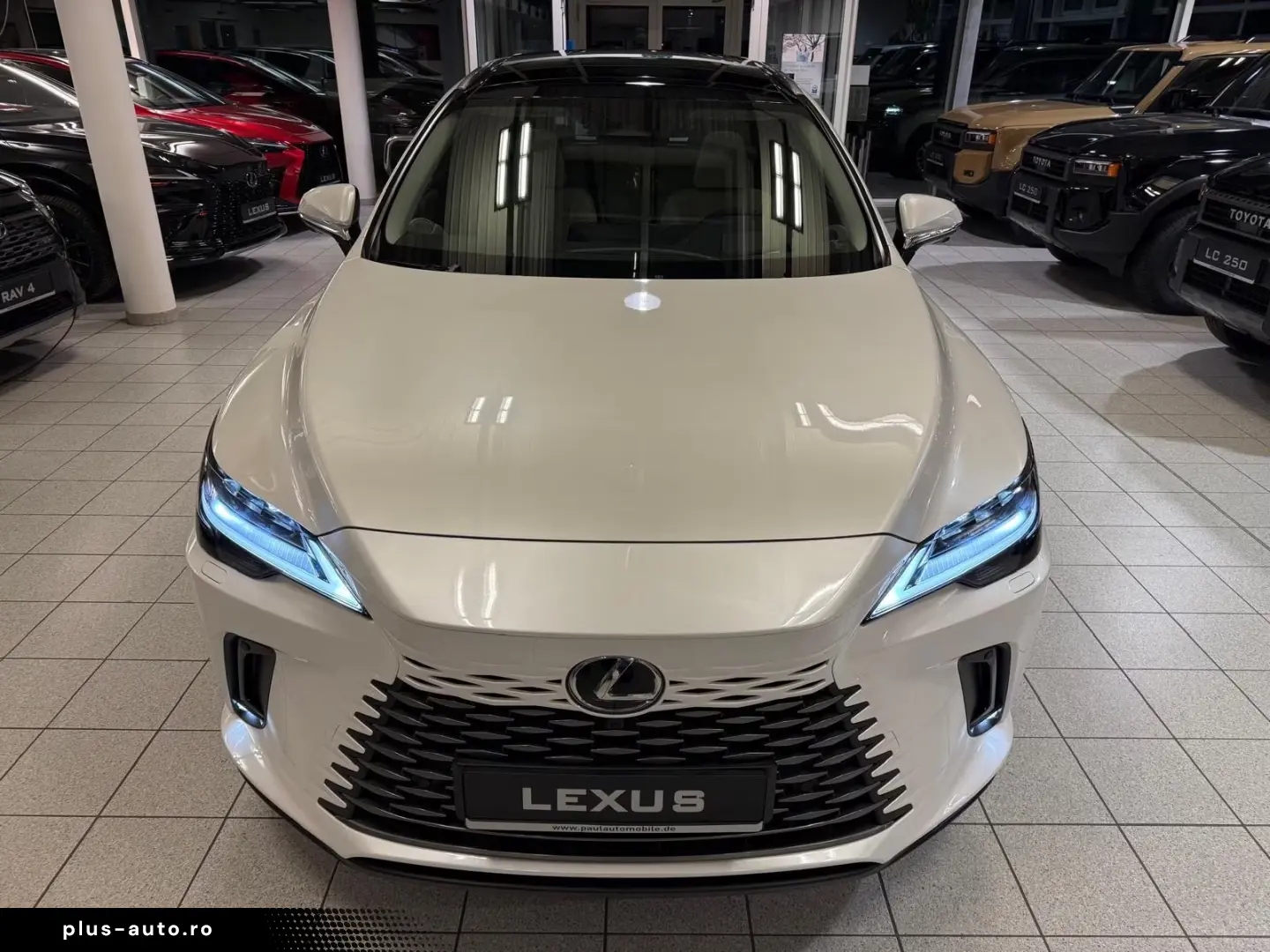 Lexus RX 450  - LUXURY-PANO.-MARK LEV-360 CAM