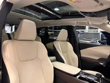 Lexus RX 450  - LUXURY-PANO.-MARK LEV-360 CAM