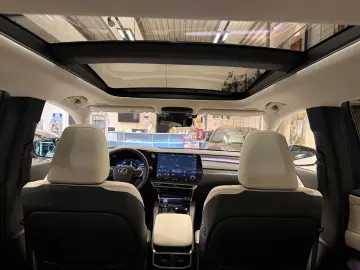 Lexus RX 450  - LUXURY-PANO.-MARK LEV-360 CAM