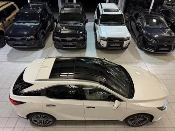Lexus RX 450  - LUXURY-PANO.-MARK LEV-360 CAM