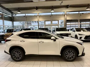 Lexus NX 450h  4 WD-EXECUTIVE-360 KAM.-PANORMA-HEAD UP