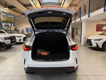Lexus NX 450h  4 WD-EXECUTIVE-360 KAM.-PANORMA-HEAD UP