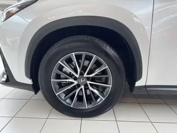 Lexus NX 450h  E-FOUR Business Leather Electric Seats
