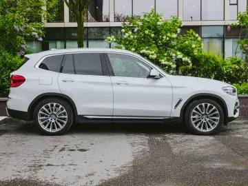 BMW X3 xDrive30e Luxury Line