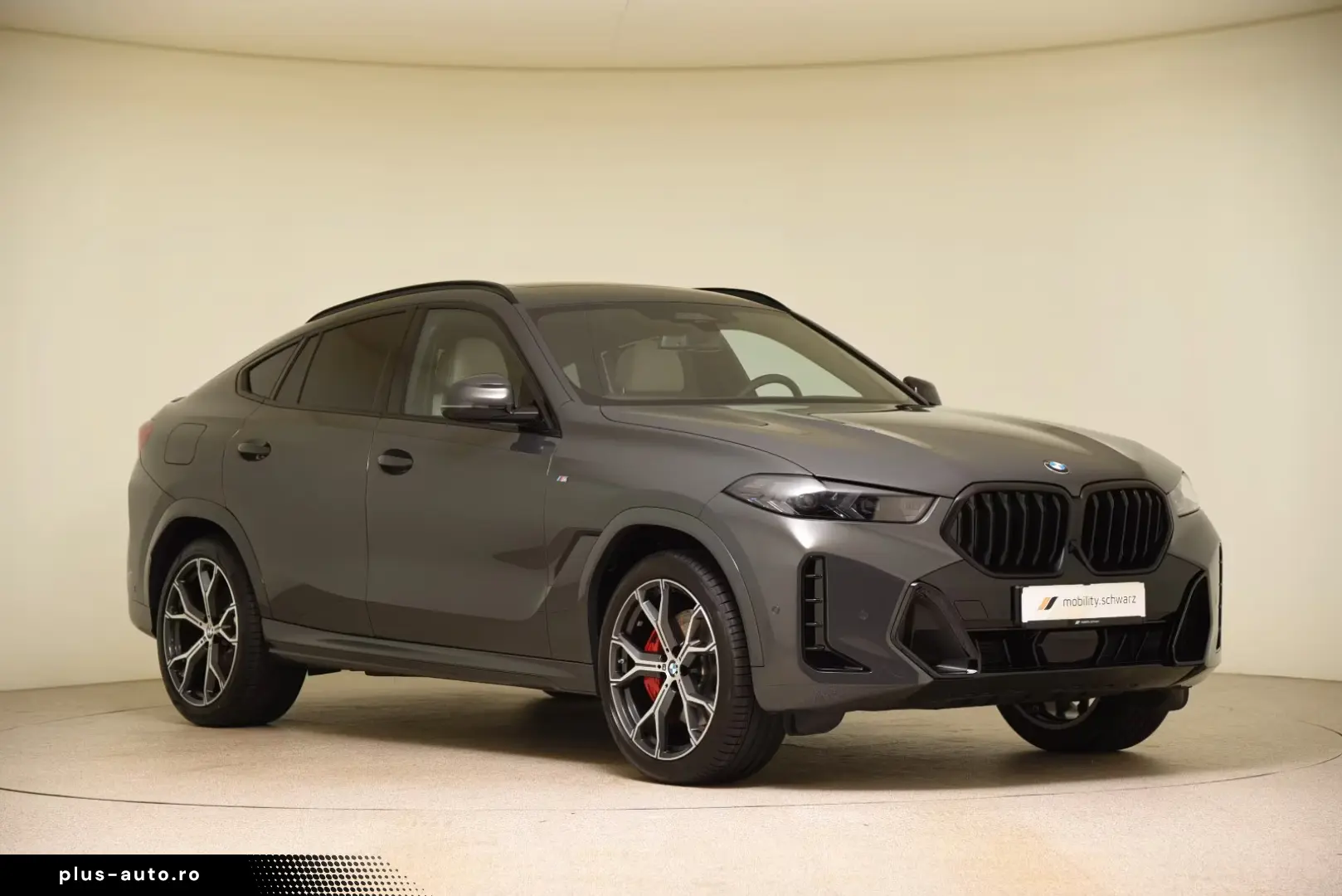 BMW X6 xDrive30d M Sport Pro DriveAssProf Pano 360