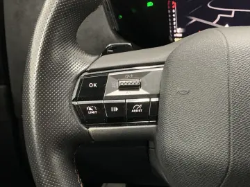 DS DS4 Performance Line  HUD ACC CAM NAV SHZ Apple