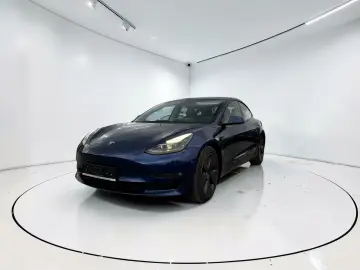 Tesla Model 3 Premium Langstreckenbatterie AWD Dual Motor