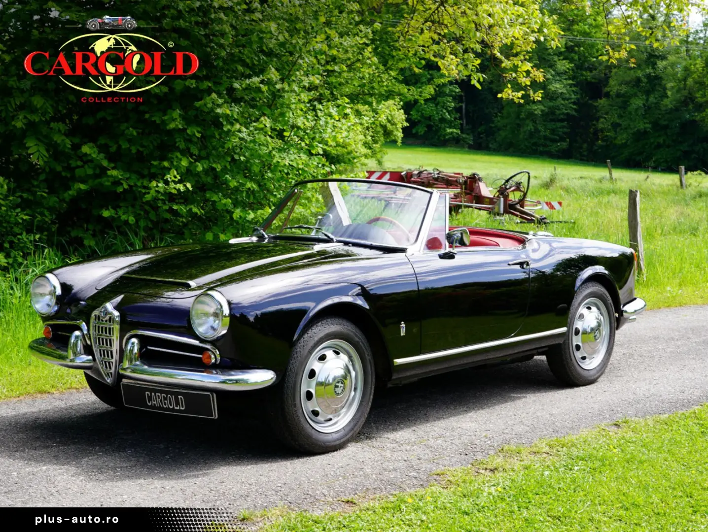 ALFA ROMEO Giulia Spider Veloce 1600cc  restauriert!