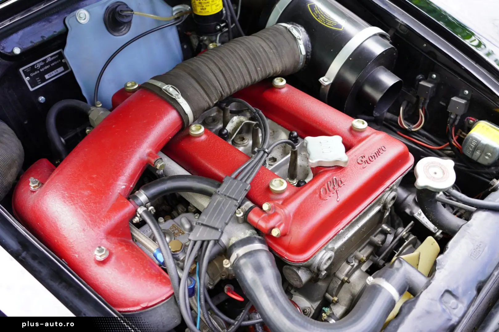 ALFA ROMEO Giulia Spider Veloce 1600cc  restauriert!