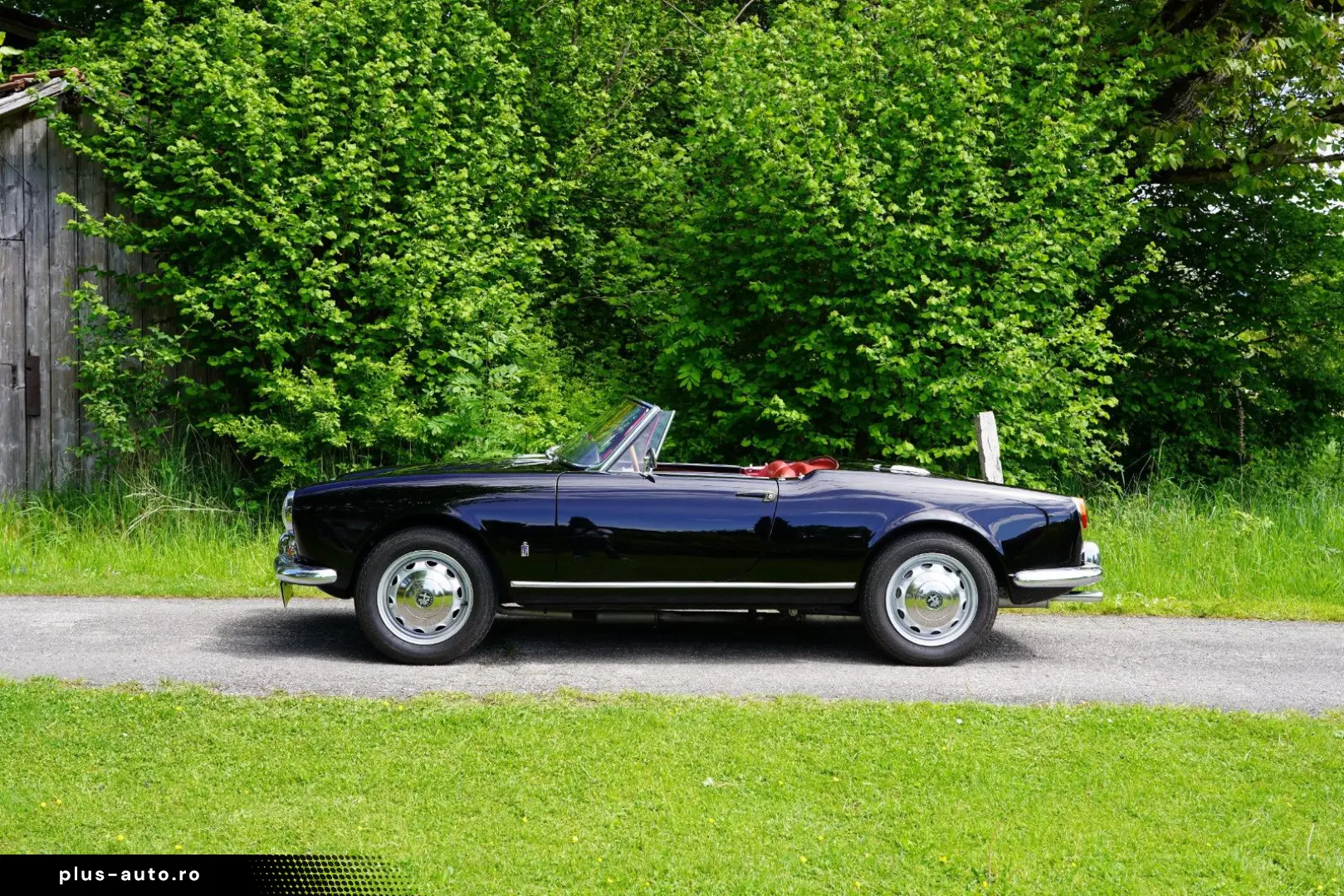 ALFA ROMEO Giulia Spider Veloce 1600cc  restauriert!